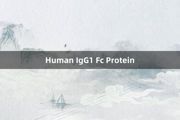 Human IgG1 Fc Protein